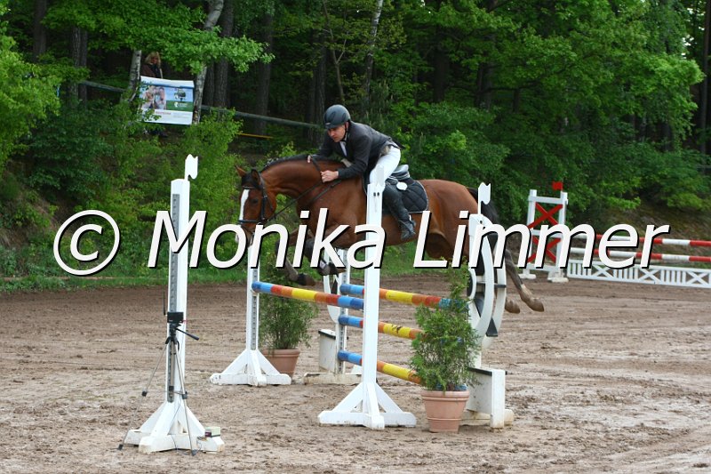 104M7357_Etoile D Araconit_Springpf_A.JPG